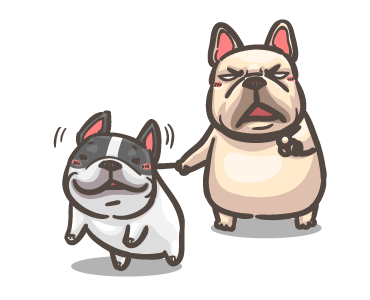 พิกุ - เฟรนช์ บูลด็อก : คู่หูจอมป่วน รูปที่ 23