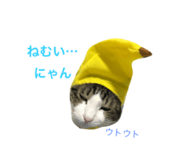20510345
