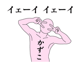 20512161