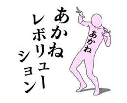 20512848