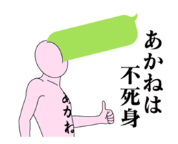20512871