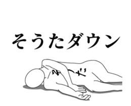 20513517