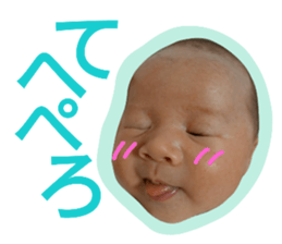 20515549