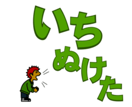 20517381