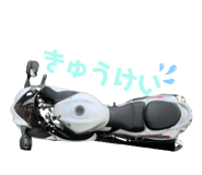 205197600