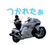 205197601
