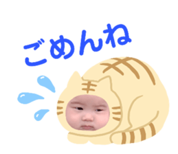205275251
