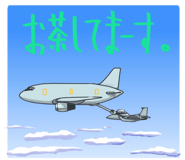 205533624