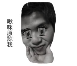 205676847