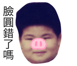 205676849