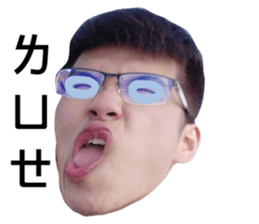 205676850