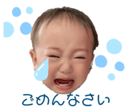205677820