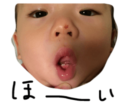 20568257