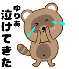 205709053