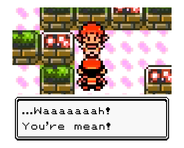 Pokémon Gold & Pokémon Silver รูปที่ 19