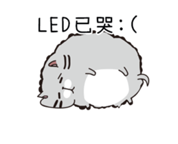 205791090