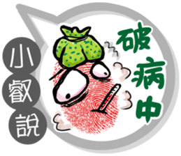 205807827
