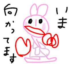 206020571