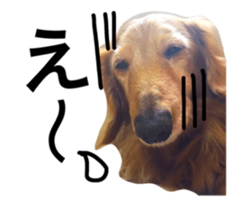 20602660