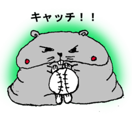 2060800