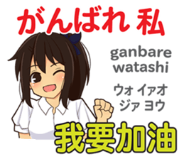 20609816
