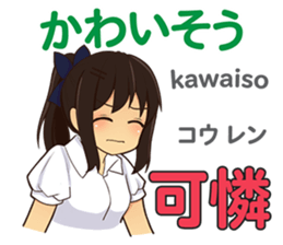 20609817