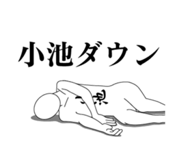 20615221