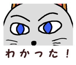 2061626