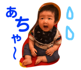 206228446