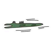 206297809