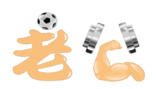 206528717