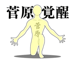 20653550