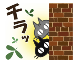 206536348