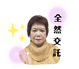 206574195