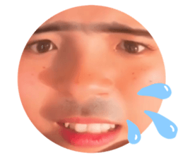 206599462