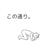 20660582