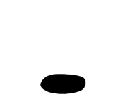 20660599