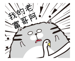 206613808