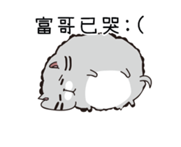 206613826