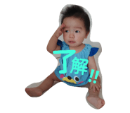 20664681