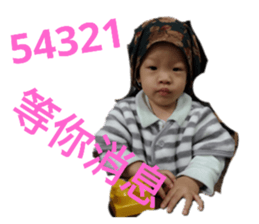 206751634