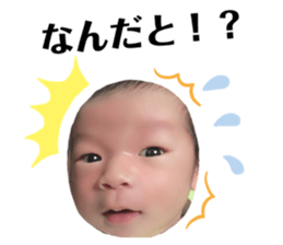 206832682
