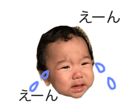 20684313
