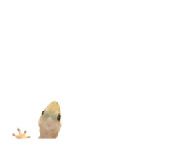 206869210