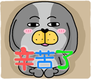 206870628