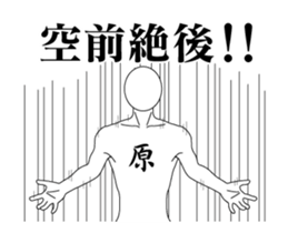 20690543