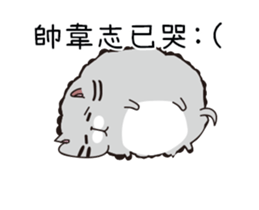 206982130