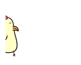 206995049