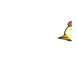 206995052