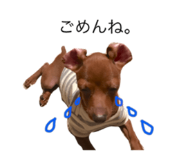 20700123